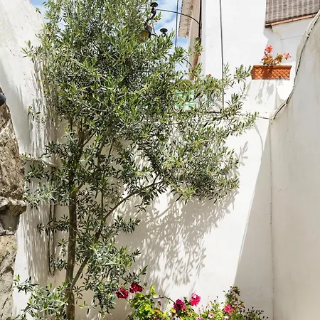 Apartamento Casa Colette *