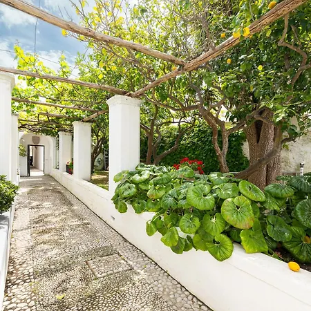 Casa Colette * Anacapri (Isola di Capri)